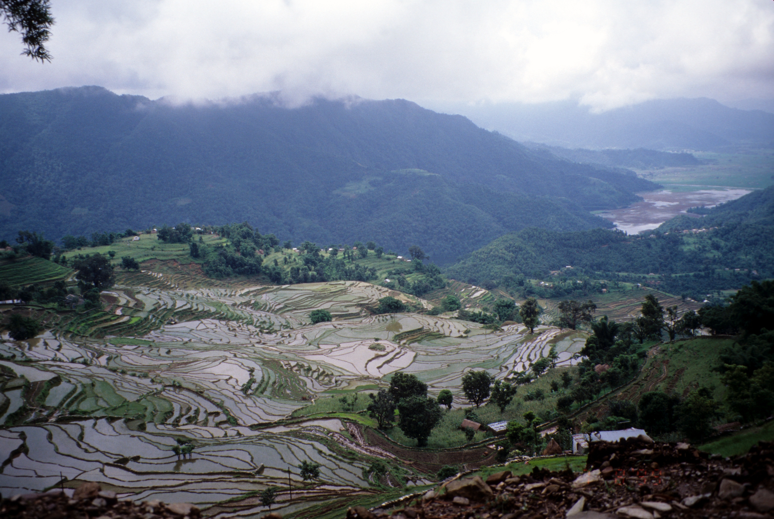 Erle Ellis crowdsources global archaeological research to trace the history of human impacts on Earth