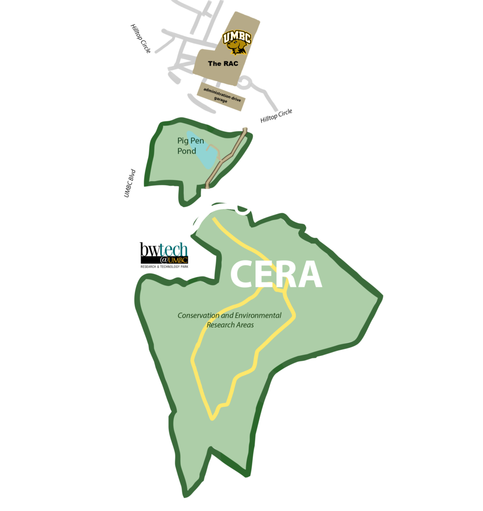 CERA is a large greenspace near UMBC campus buildings.